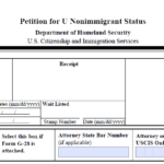How Does the U Visa for Victims of Criminal Activity Work?